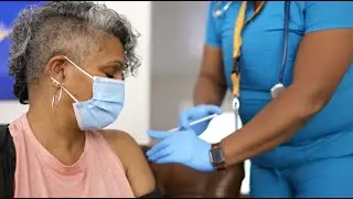 Shingles Vaccine &ndash; Lila&rsquo;s Good Health