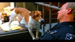 Milo Helps Stanley To Escape Prison | The Mask (1994)