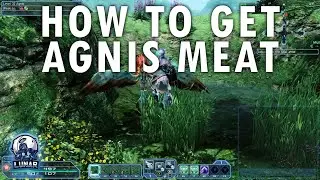 PSO2: How To Get Agnis Meat - Franca Client Orders!
