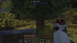 Minecraft SMP just started and there is already mayhem happening!