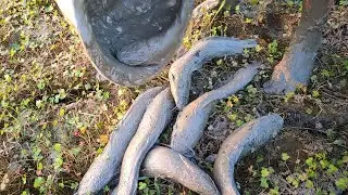 Catching Fish By Hand | Best Hand Fishing | Unique Hand Fishing | Fishing Bd Pro