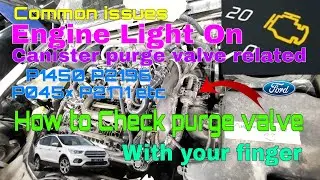 How to Check canister purge valve yr self ? Engine Light On P0450, P2196,P045&times; etc,  common issues 