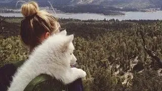 Трансляцтя Все Ко Мне. Каникулы!