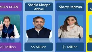 Comparison: Imran khan net worth 2023 & total net worth of Pakistani politicians || N Data Hub