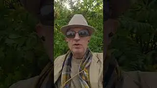 Автоматизация управления в машиностроении - Дмитрий Жуйков на онлайн-сессии #UralsDigitalMachinery