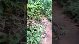 อุทยานแห่งชาติภูลังกา ตอนที่ 2 นครพนม | Phu Lanka National Park Part 2 Nakhon Panom