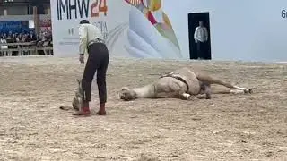 Javier Garc&iacute;a con Luca y Triana en Ifema Madrid Horse Week.