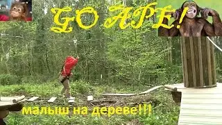 VLOG!! GO APE! Лезим по деревьям как обезьянки СТРАШНО ОЧЕНЬ