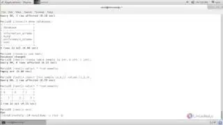 How To Backup and Restore MySQL Database