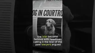 &ldquo;The Dog That Went to Court&rdquo; #facts #history
