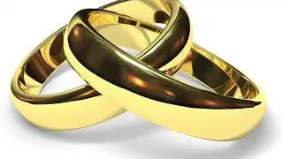Conservative Woman + Liberal Women = AWALT (MGTOW,IBMOR)