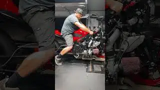 Turbo 600cc?!?!?
