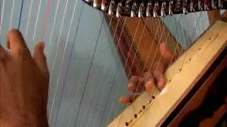 El vuelo del Condor.