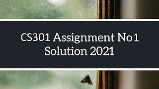 CS301 Assignment No 1 Solve | Solution Spring 2021 Complete Solution with Understanding