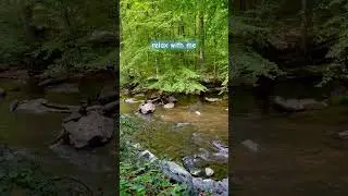 ASMR PEACEFUL RIVER SOUNDS #asmr #asmrwatersounds #riverasmr #babblingbrook