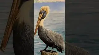 &ldquo;Solitude On The Perch&rdquo; Sunscapesart.com #sunscapesart #art #acrylicpainting #wildlife #pelican