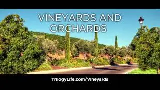 Trilogy at The Vineyards - The Bay Area's Best Kept Secret