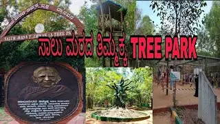 SALUMARAD TIMMAKKA TREE 🌲🌴 PARK MANIPAL , UDUPI| PARK NEAR UDUPI| #garden #adventuresvideo #park