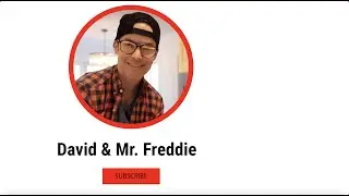 David the Dog Trainer and Mr. Freddie the Rhodesian Ridgeback Puppy (A few quick training tips!)