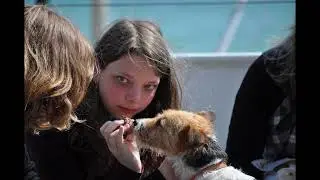 HUY 2 VOYAGE EN BRETAGNE 2011youtube