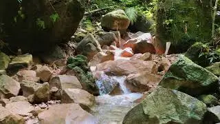 Nature Sounds Atmosphere for Anxiety Relief, Cognitive Performance, Healing