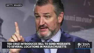 Ted Cruz Introduces Bill To Send Migrants To Cambridge, Martha's Vineyard And Nantucket