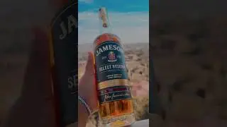 Jameson #southafricanyoutuber #youtubeshorts #alcohol #shorts #sunday