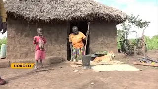 PLIGHT OF THE ELDERLY || EXPERTS WANTS URGENT MEDICAL INSURANCE FOR THE OLDER PERSONS