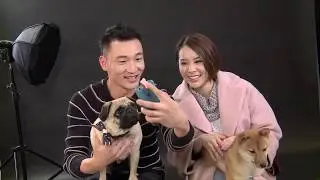 煉狗術師Eric Ko教你指揮狗狗擺甫士影相 (寵物狗救星 - 超級馴犬師 - EP05-3)