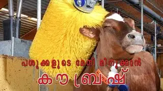 Cow Brush for Cow Farms പശുക്കളുടെ മേനി മിനുക്കാന്&zwj; കൗബ്രഷ് #cowbrush