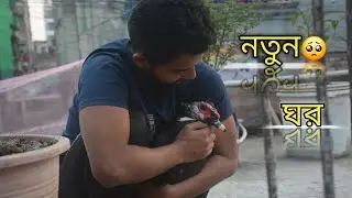 আমার পোষা প্রাণী আর ছাদে দেখা যাবে না🥺।। Nuton ghor।। Alif ka pets.