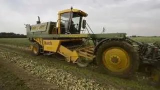 Wim de Witte oogst 45 ton winteruien