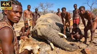 Sobrevivência Real na África: O Encontro Perigoso entre Hadzabe e Elefantes Selvagens
