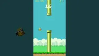 I play  Birdy Brid game