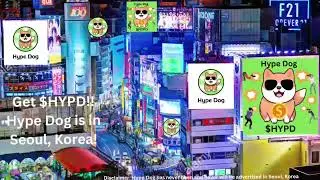 HypeDog: Going Global and Taking the World by Storm! 🌍🚀