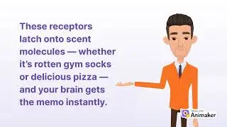 How the nose works
