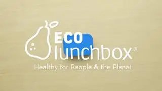 Splash Box Pods Bento Lunch Set by ECOlunchbox