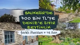 BALIKESİR'DE 700 BİN TL'YE DENİZ'E SIFIR ZEYTİNLİK❗️❗️❗️ UYGUN FİYATLI 15 AYRI İLAN🏡