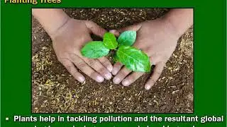 Class 12: Psychology | Promoting Pro-Environmental Behaviour