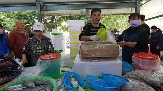 有要買的給妳大大份 #中彰海王子 #彰化八卦山棒球場 #海鮮叫賣 #海鮮拍賣