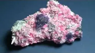 SHRhodo2