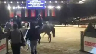 British Open Show Jumping Championships 2010 PART 2 !.wmv