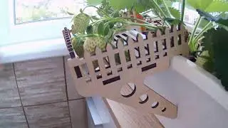Laser Plywood Cutting: How to Make Strawberry Supports