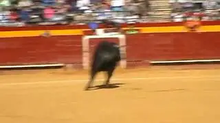 Jose Luis Maestro Chape Valencia181009