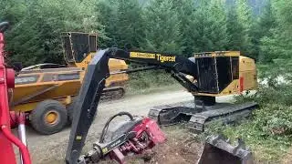 The Large Barge & Land of Logs