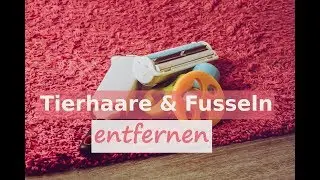 Test: Tierhaare & Fusseln entfernen I von Kleidung, Textilien, Bettdecke u.s.w.