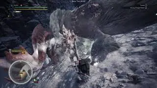 MHWI &beta; | Banbaro 03'15