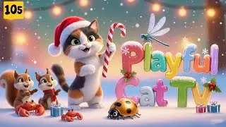 Playful Cat TV &ndash; Cat Games That Spark Joy in Every Curious Paw Adventure