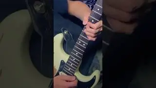 Blues guitar licks x Trip Hop 🎸