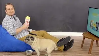 Natural Balance Fat Dog | Chewy